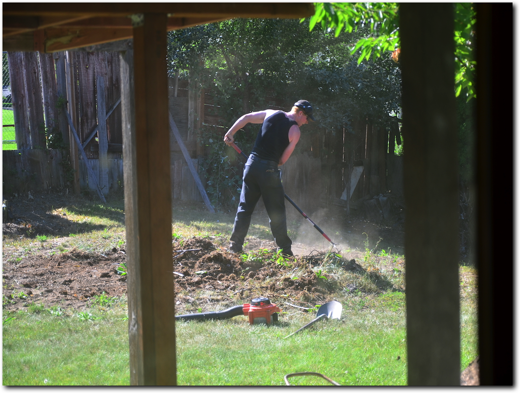 spring & fall landscaping cleanup service in Spokane